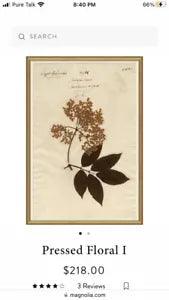 Magnolia Pressed Floral Wall Art- 2 pieces - Retail Price $218 each