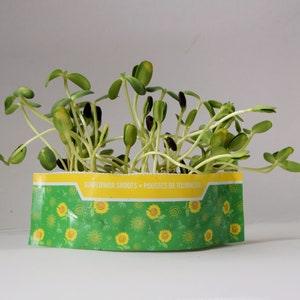 Micro Garden - Sunflower - Grow your own microgreens