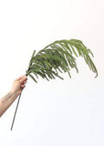 Afloral Real Touch Norfolk Pine Branch - 36