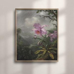Vintage Hummingbird and Pink Orchid Art, Tropical Bird and Flower Botanical Illustration, Antique Floral Wall Decor, Colibri Print, C16-1256