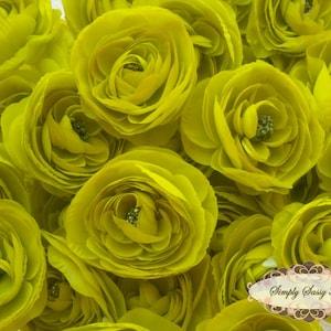 2 pcs Lime Green Silky Soft Ranunculus Artificial Flower Heads Color 3.5in DIY Bouquets Arrangements Hair Clips Wedding