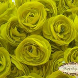 2 pcs Lime Green Silky Soft Ranunculus Artificial Flower Heads Color 3.5in DIY Bouquets Arrangements Hair Clips Wedding