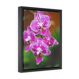 Spotted Orchid - Canvas with Frame