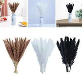 15pcs Dried Pampas Grass Dried Flowers for Bunch Arrangement Home Decor Table