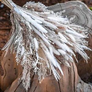 50Pcs Natural Dried Flower Grass Reed Flower Bunch DIY Home Decor