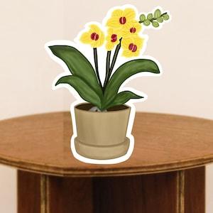 Orchid Sticker | Decals Sticker | Stickers laptop | Stickers labels | Stickers cute | Orchid plant | Stickers, Labels & Tags | Plant gift |