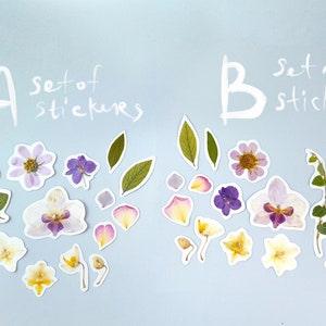 Real dried Orchids sticker pack (14 pcs), pressed flowers and petals, Herbarium decals for scrapbooking with Phalaenopsis, plants for Laptop