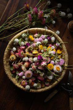 Everlasting flowers from the garden Flower Delivery