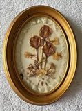 Vintage Pressed Dried Flower Art in Gold Oval Wood Frame