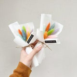 Mini Preserved Flower Bunny??s Tail Grass Bouquet