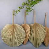Natural Dried Flower Palm Leaf Fan Plant Party Wall Hanging Wedding Decor DIY