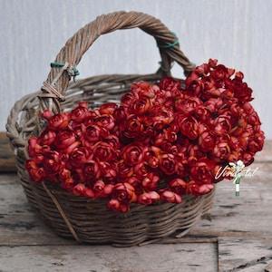 Vintage Red Blood One Bundle Artificial Vintage Silk Mini Ranunculus Artificial 6 Stems Silk Ranunculus Buds for wedding home decor