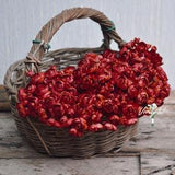 Vintage Red Blood One Bundle Artificial Vintage Silk Mini Ranunculus Artificial 6 Stems Silk Ranunculus Buds for wedding home decor