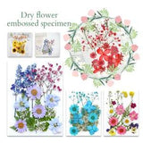True Dry Flower Embossing Paste Face Decoration Eye Petal Bride Girl Makeup
