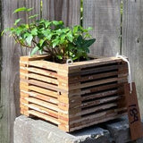 184. Salvaged Louisiana Baldcypress Wood Hanging Basket Planter for Orchids, Bromeliads, Ferns, Cacti, Other Epiphytes and Succulents