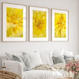 Print: Yellow Peonies Botanical Print - Set of 3 Blush Pink, Wall Art, Bedroom Decor, Flower Decor, Living Room Wall Art