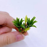 2 pieces Miniature Plants made clay polymer, Miniature decorate for Garden Dollhouse 1:12