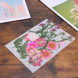 Epoxy Resin Dry Flowers Kits Real Pressed Scrapbook Manicure