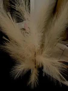 Medium-size glass balloon vase with 43??? pampas grass. Please See Details