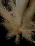 Medium-size glass balloon vase with 43??? pampas grass. Please See Details