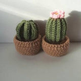 2 pack set, Pink Flower Crochet Cactus In Pots, (Yellow Flower also available), Set of 2 Hand Crochet