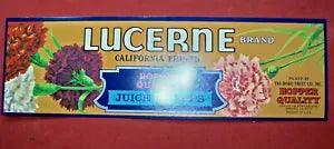Lucerne Yellow Grape Carnation Flowers Crate Mint Label California! Look!