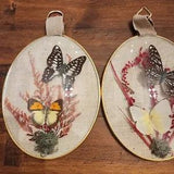 Vintage Dried Flower & Butterfly Convex Oval Bubble Glass Frame Set Pair Italy