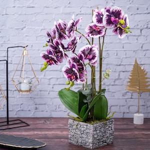 Large Artificial Orchid Flowers, Velvet Touch, With Brick Wall Like Planter, Indoor Fake Plant