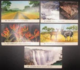 5 Mini Postcard Set 3.5n x 2in Flame Lily Kariba Nyala Strip Hwy Victoria Falls