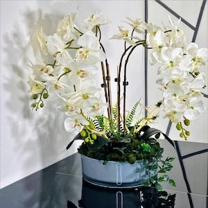 CHARNEL PARIS - Orchid in plant pot - Green Preserved moss - Phalaenopsis white flower - 25 X 10Cm -Large Grey Cylinder glass-Christmas gift