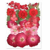 Dried Pressed Flowers Natural Dried Flowers Real Pressed Flowers Colorful Dry...