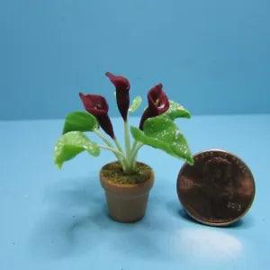 Dollhouse Miniature Burgundy Calla Lily in Pot G6323