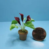 Dollhouse Miniature Burgundy Calla Lily in Pot G6323