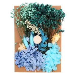 Natural Dried Flowers Multiple Real Dried Pressed Flowers Plant Blue