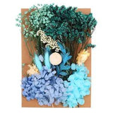 Natural Dried Flowers Multiple Real Dried Pressed Flowers Plant Blue