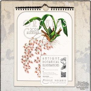 2024 Botanical Calendar - Antique Orchid Illustrations / Flowers Monthly Wall Calendar w/ week Numbers