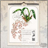 2024 Botanical Calendar - Antique Orchid Illustrations / Flowers Monthly Wall Calendar w/ week Numbers