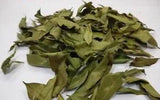 agarwood leaves high quality product for HERB TEA