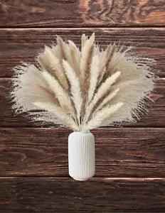 Dried Floral Bouquet Pampas Grass Bunny Tails Reed Boho Arrangement