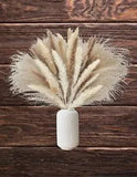 Dried Floral Bouquet Pampas Grass Bunny Tails Reed Boho Arrangement