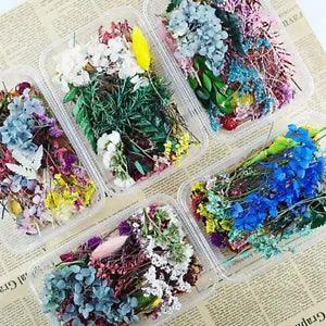 1 Box Mixed Dried Flowers DIY Epoxy Resin UV Filling Aromatherapy Decor Craft