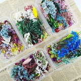 1 Box Mixed Dried Flowers DIY Epoxy Resin UV Filling Aromatherapy Decor Craft
