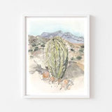Boho Cactus Art Print - Southwestern Wall Decor - Green Plant in Watercolor - California Botanical Art - Medjool Studio Illustrations