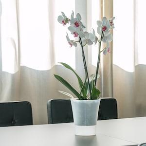 Arte-Dea Self-watering plant pot