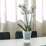 Arte-Dea Self-watering plant pot