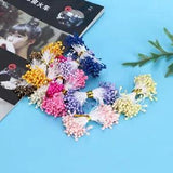 900 Pcs Artificial Stamen Dried Flower Hand Made Stamen Decorative Part 3mm JJS