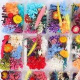 Mixed Dried Flower DIY Candle Soap Epoxy Filling Jewelry Photo Frame Arts Craft