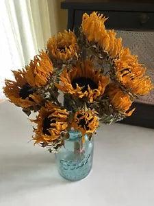 SUNFLOWERS * DRIED FLOWER Bunch BOUQUET Bundle ORANGE USA Grown Flowers Auc.#3