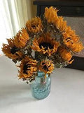SUNFLOWERS * DRIED FLOWER Bunch BOUQUET Bundle ORANGE USA Grown Flowers Auc.#3