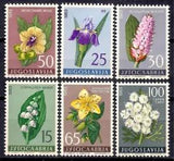 Yugoslavia 1963 Flowers Lily German Iris Bistort Wild Caraway Plants 6v set MNH